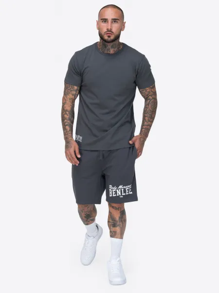 Benlee Men's t-shirt regular fit