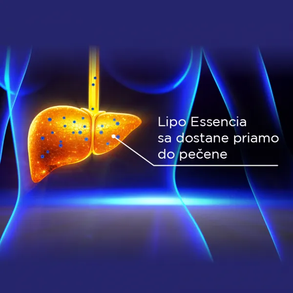 GS Lipo Essencia so silymarínom