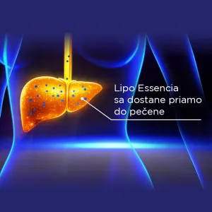GS Lipo Essencia so silymarínom