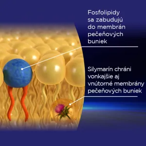 GS Lipo Essencia so silymarínom