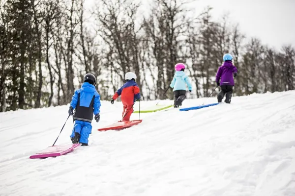 Klzák STIGA Snow Flyer JR Green