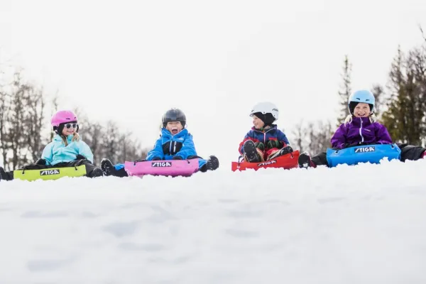 Klzák STIGA Snow Flyer JR Green