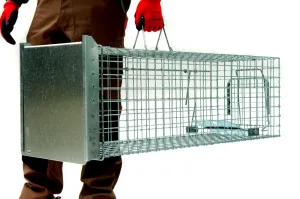 Bravson Profesionálna pasca na líšky, kuny, vydry a mačky TRAP ST118x34x34V1