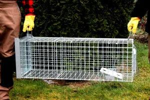 Bravson Profesionálna pasca na líšky, kuny, vydry a mačky TRAP ST118x34x34V1