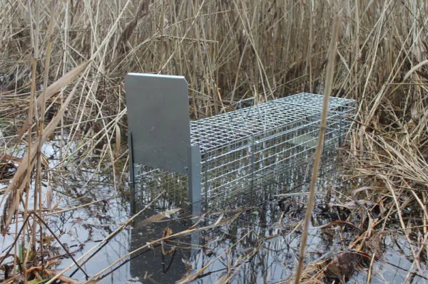 Bravson Profesionálna pasca na líšky, kuny, vydry a mačky TRAP ST118x34x34V1