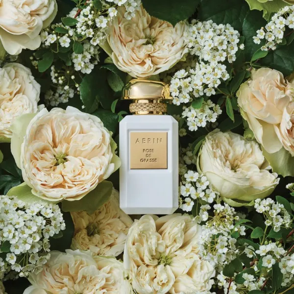 Estée Lauder Aerin Rose de Grasse EDP parfumovaná voda pre ženy 50 ml