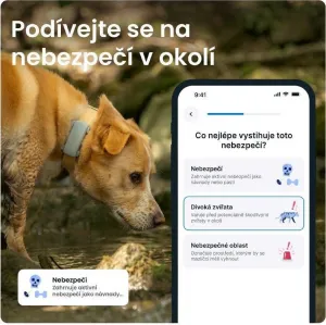 NoName Tractive DOG 6 – GPS lokátor pro psy a monitor zdraví, mátový