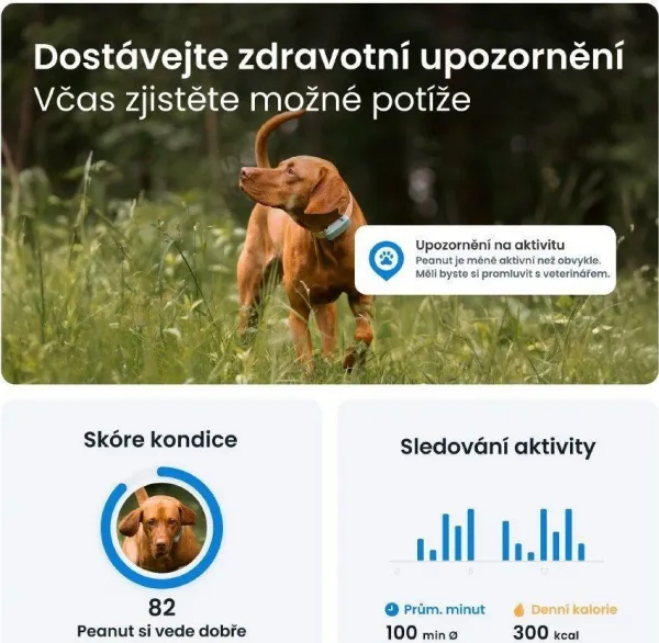NoName Tractive DOG 6 – GPS lokátor pro psy a monitor zdraví, mátový