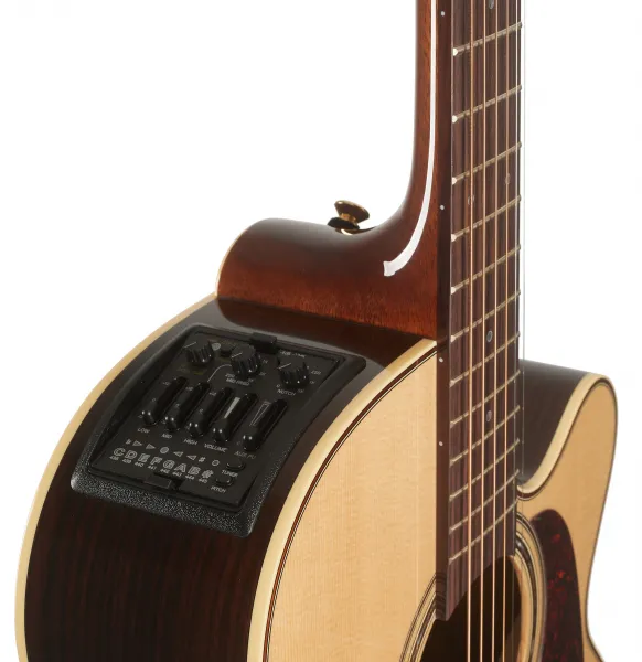 Takamine P5NC