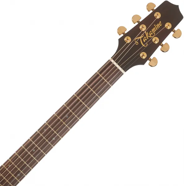 Takamine P5NC