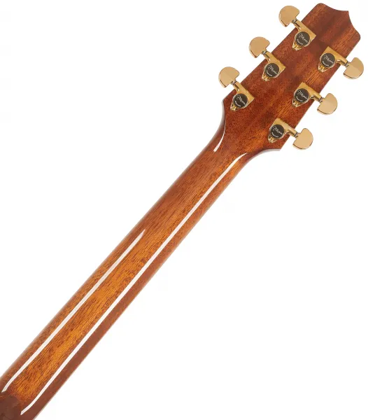 Takamine P5NC