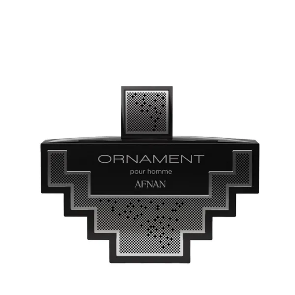 Afnan Ornament Pour Homme parfumovaná voda pre mužov 100 ml