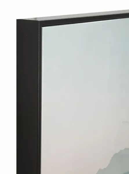 Mauro Ferretti Obraz Kaktus B 60x90 cm viacfarebný