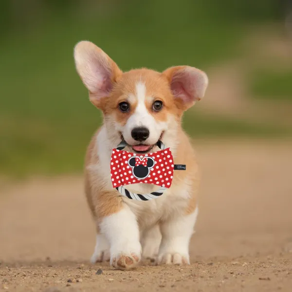 Hračka Minnie Mouse