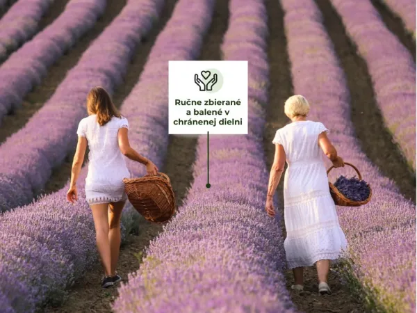 Benlemi Esenciálny olej pre deti z levandule lekárskej, 100% BIO