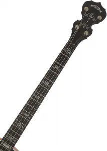 Deering Sierra 19-Fret Tenor