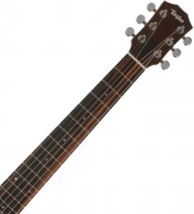 Taylor GS Mini Sapele LH