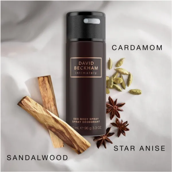 David Beckham Intimately Men dezodorant v spreji pre mužov 150 ml