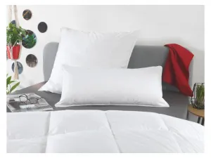 Häussling Vankúš Premium s perím a páperím (40 x 80 cm)