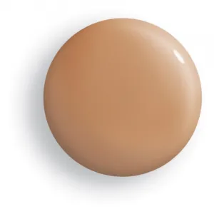 Sisley Phyto-Teint Perfection vysoko krycí make-up pre rozjasnenie a vyhladenie pleti odtieň 6W Chestnut 30 ml