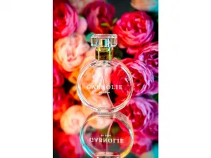 Empleada GABNOLIE Elixir by GABA