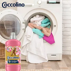 Coccolino Honeysuckle & Sandalwood koncentrovaný avivážny prípravok 51 praní 1275 ml