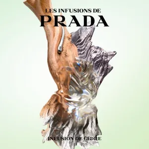 Prada Les Infusions: Infusion de Cedre parfumovaná voda unisex 100 ml