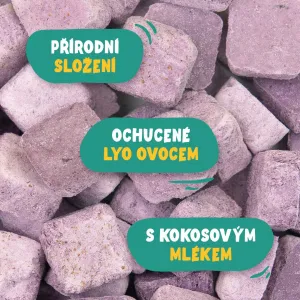 Coco smoothie čučoriedka váha 100g