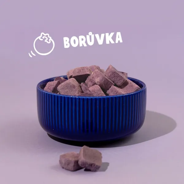 Coco smoothie čučoriedka váha 100g