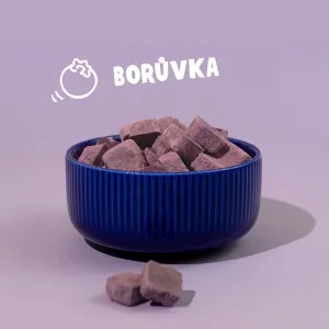 Coco smoothie čučoriedka váha 100g