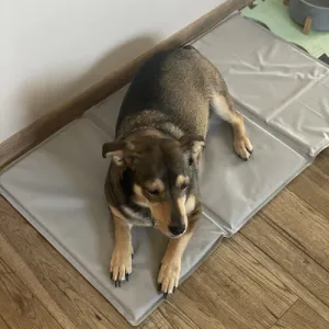 ChladivápodložkaprepsovamačkyŠírka:50cm|Dĺžka:90cm