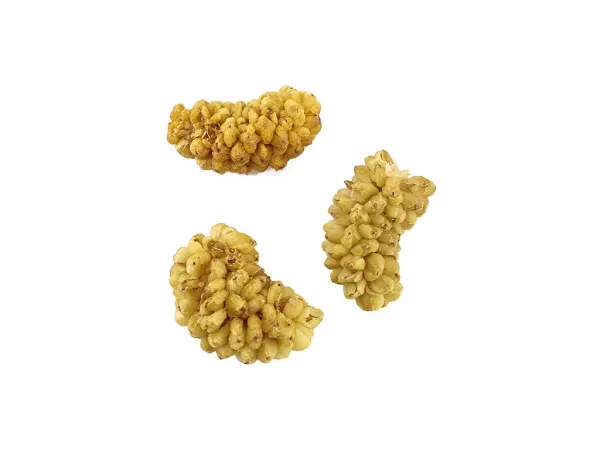 Moruša sušená váha 7.5kg