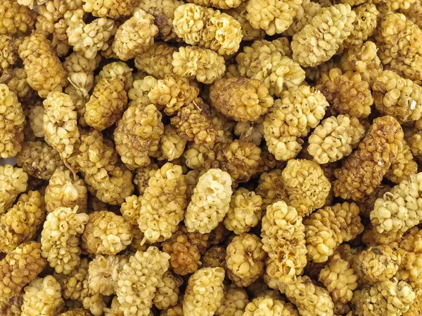Moruša sušená váha 7.5kg
