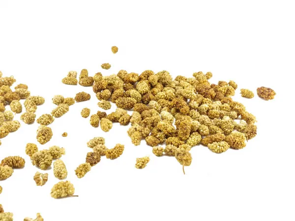 Moruša sušená váha 7.5kg