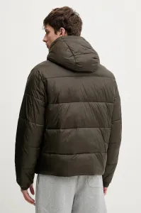 Bunda Abercrombie & Fitch