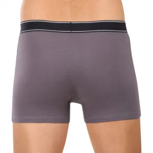 Pánske boxerky Andrie viacfarebné (PS 5828/light gray) L, trenky