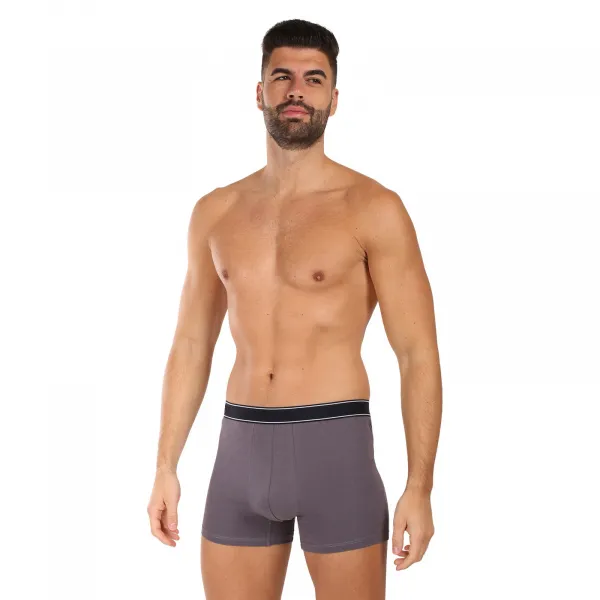 Pánske boxerky Andrie viacfarebné (PS 5828/light gray) L, trenky