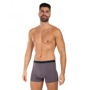 Pánske boxerky Andrie viacfarebné (PS 5828/light gray) L, trenky
