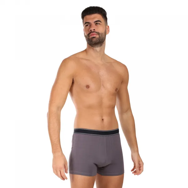 Pánske boxerky Andrie viacfarebné (PS 5828/light gray) L, trenky