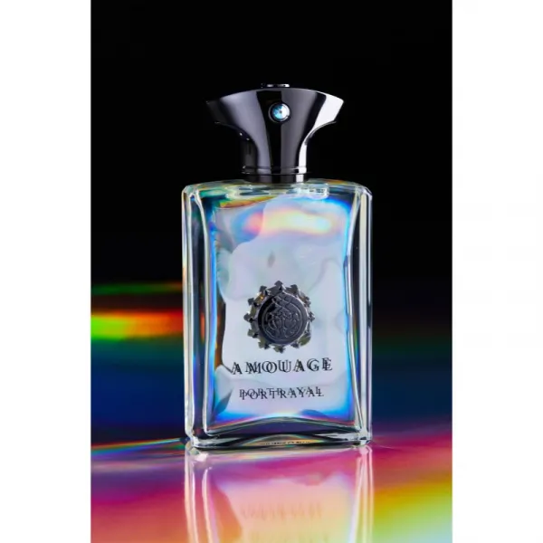 Amouage Portrayal parfumovaná voda pre mužov 100 ml