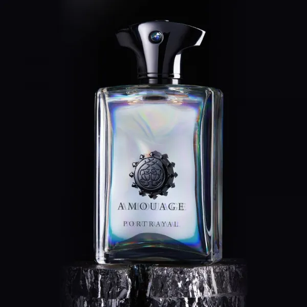 Amouage Portrayal parfumovaná voda pre mužov 100 ml