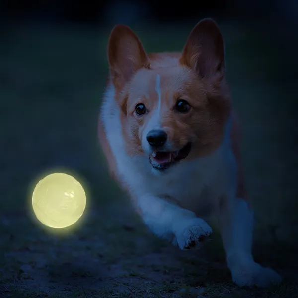 NERF DOG Hračka pre psov LED launcher Air Strike so svietiacou funkciou Try Me