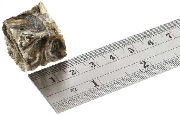 FISH4DOGS Maškrty pre psov DENTAL SEA morská ryba - rybičky 575 g