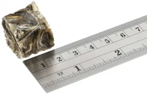 FISH4DOGS Maškrty pre psov DENTAL SEA morská ryba - rybičky 575 g