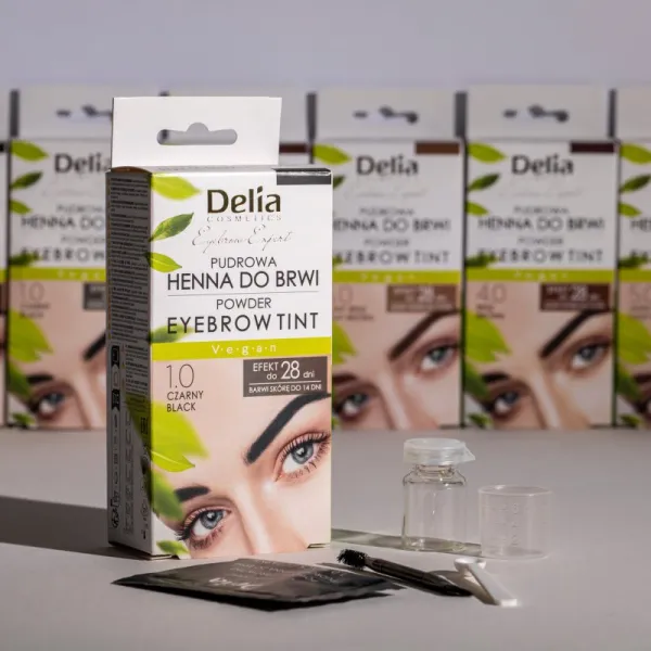 Delia Cosmetics Eyebrow Expert tónovacia farba na obočie odtieň 1.0 Black 4 g