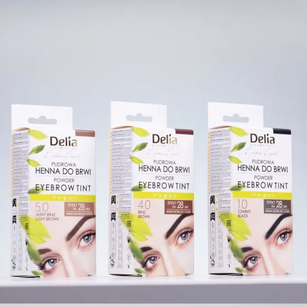 Delia Cosmetics Eyebrow Expert tónovacia farba na obočie odtieň 1.0 Black 4 g
