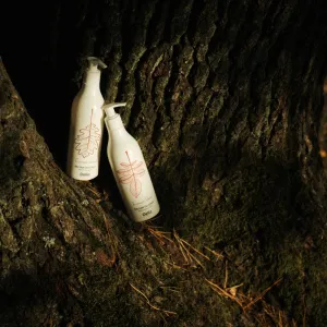 Delia Cosmetics Forest Blend regeneračné telové mlieko 300 ml
