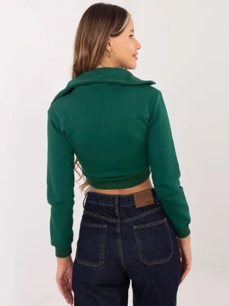 Sweatshirt-RV-BL-7305.79-dark green
