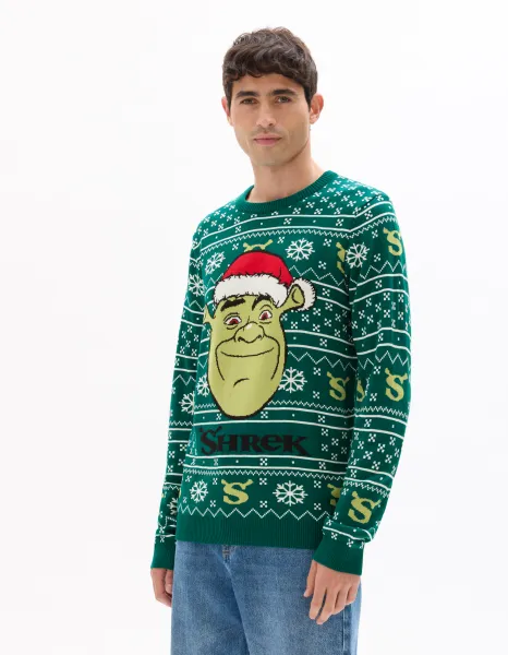 Vianočný sveter Shrek pre mužov