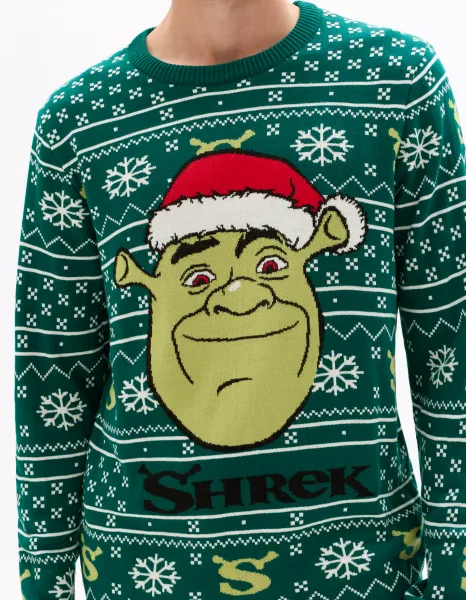 Vianočný sveter Shrek pre mužov